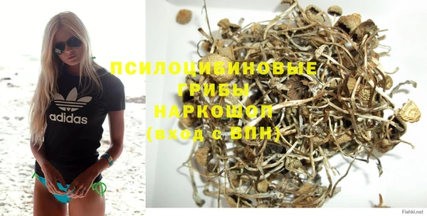 МДМА Горнозаводск