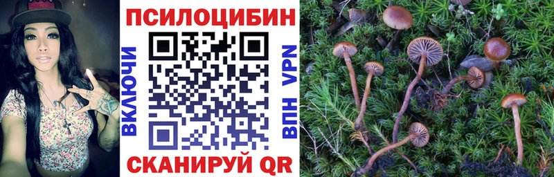 Галлюциногенные грибы ЛСД  Жердевка 